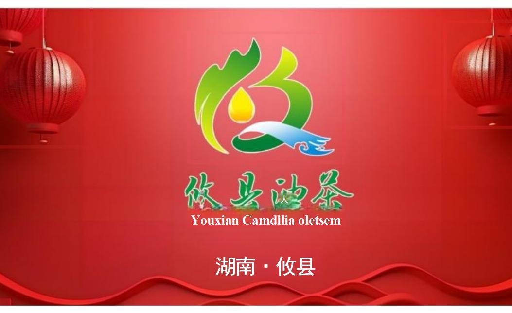 攸县油茶央视广告