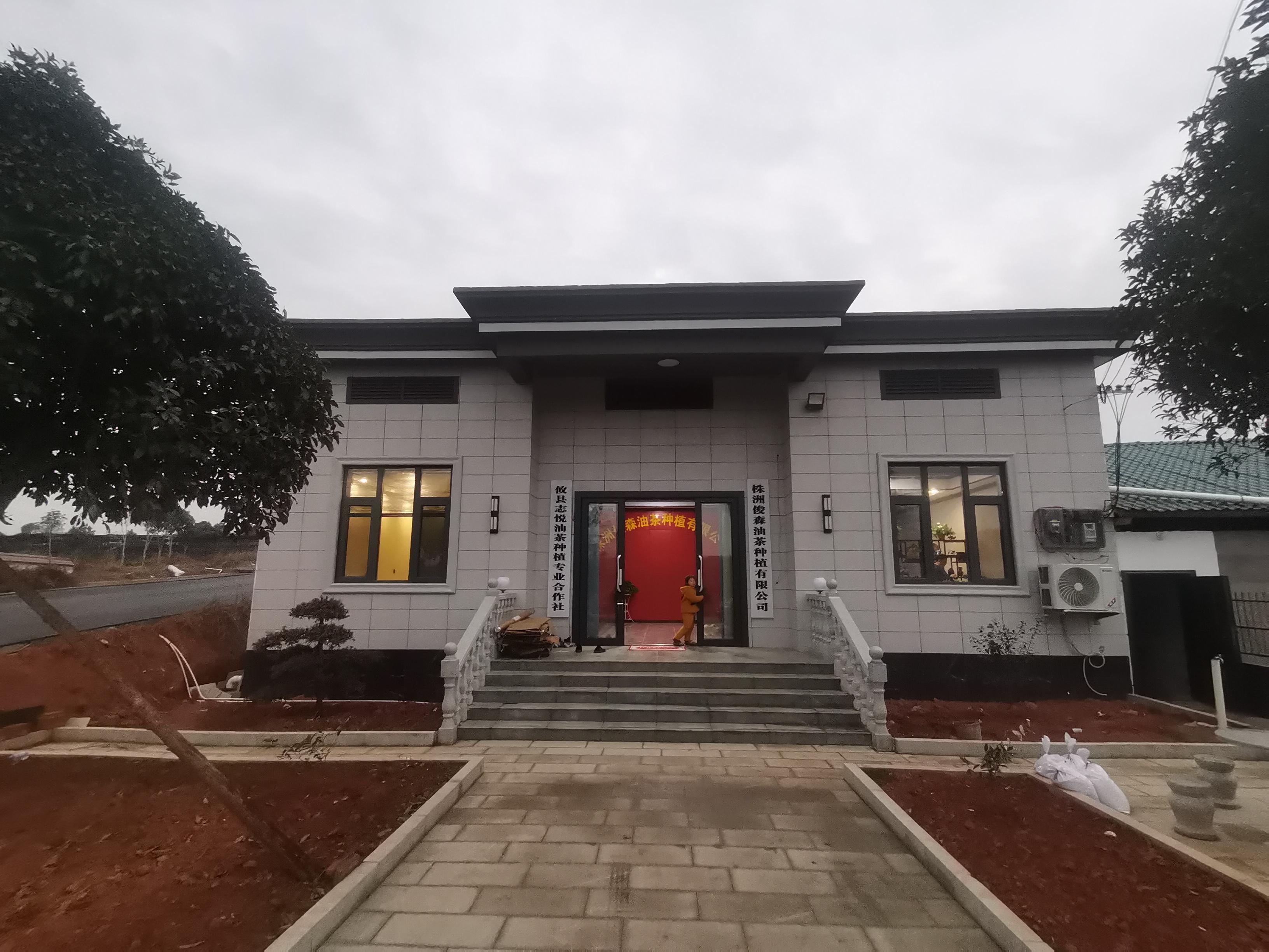 俊森公司新市回龙油茶基地