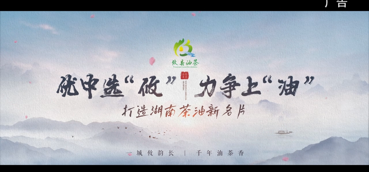 攸县油茶宣传广告片