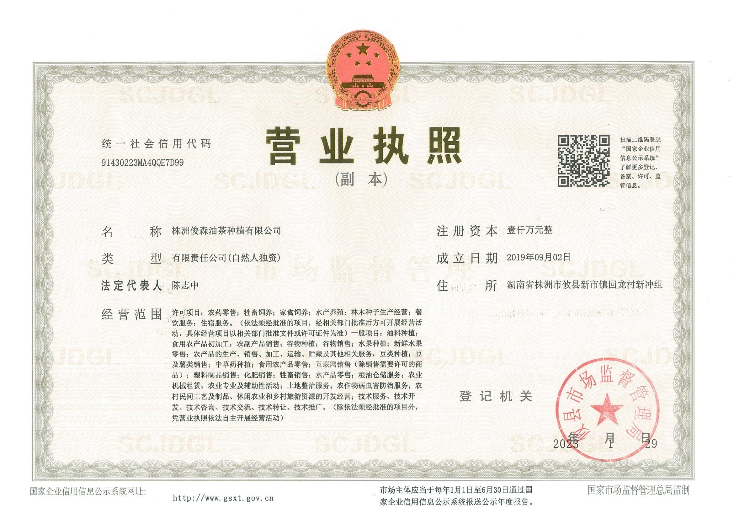 惠德湘资质证明